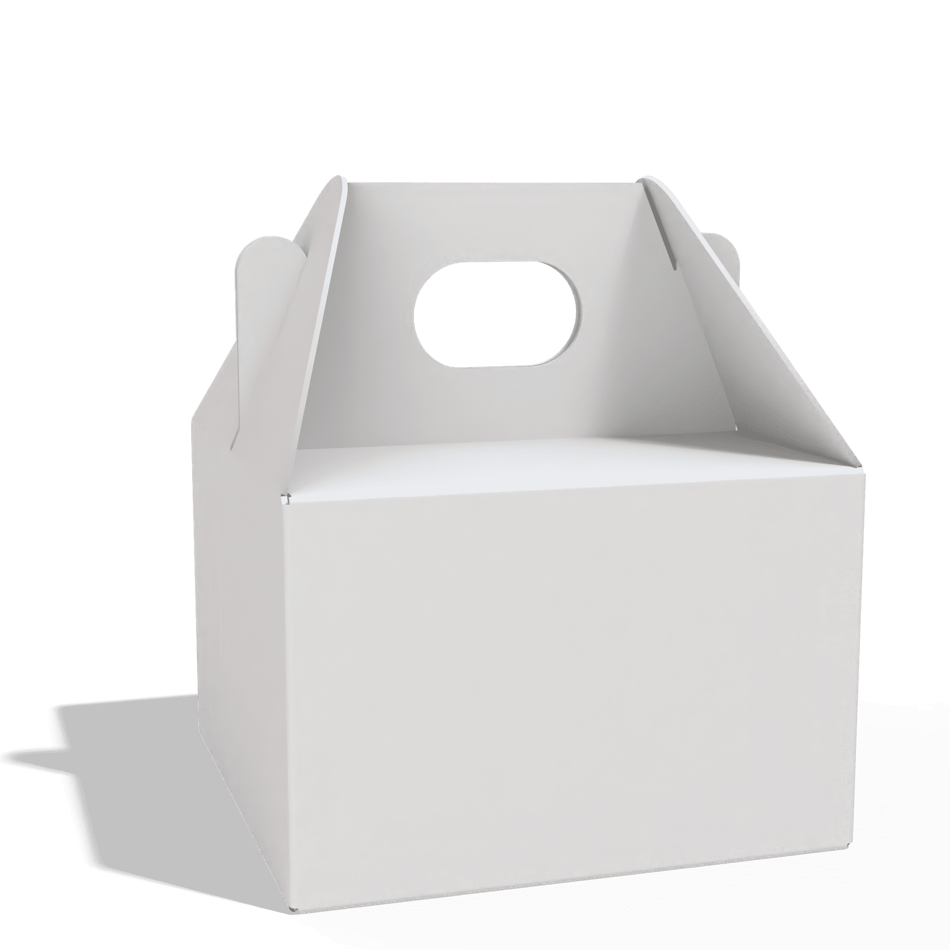 Render_Mockup_1920_1920_2026-02-03 (60)